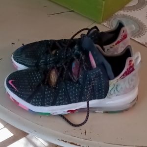 Nike Lebron 18s